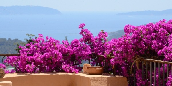 bormes