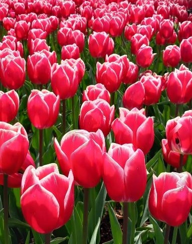 image0000001 (002)