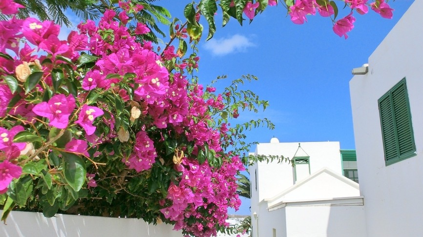 lanzarote211040