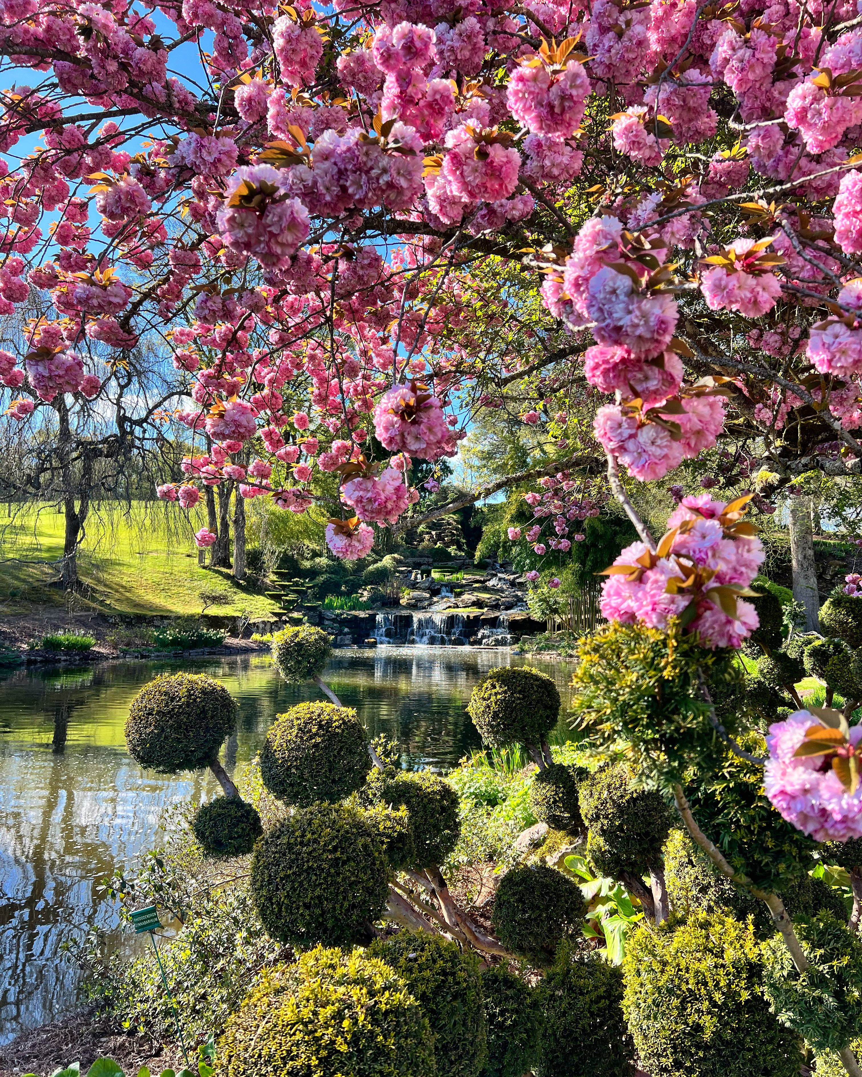 JOURN&#201;E D&#201;JEUNER-CROISI&#200;RE ET PARC FLORAL D&#39;APREMONT