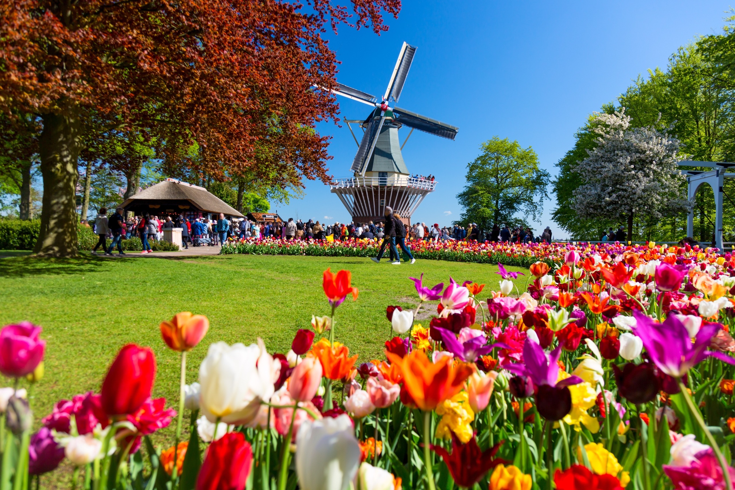 F&#202;TE DES FLEURS EN HOLLANDE, BELGIQUE