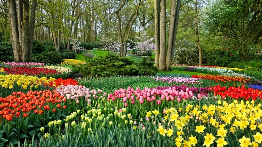 garden-g2c7872503_1920