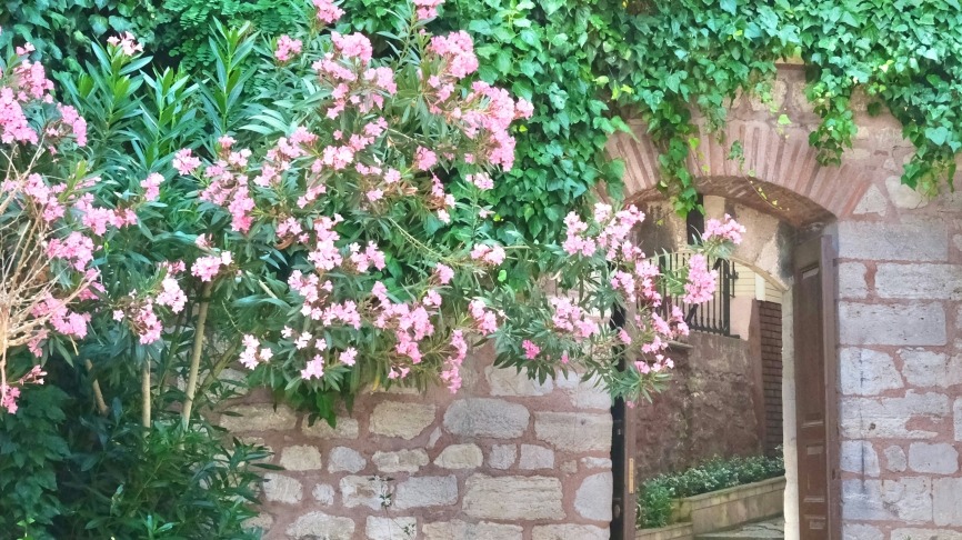 kate-branch-5M8DEtUHJl4-unsplash