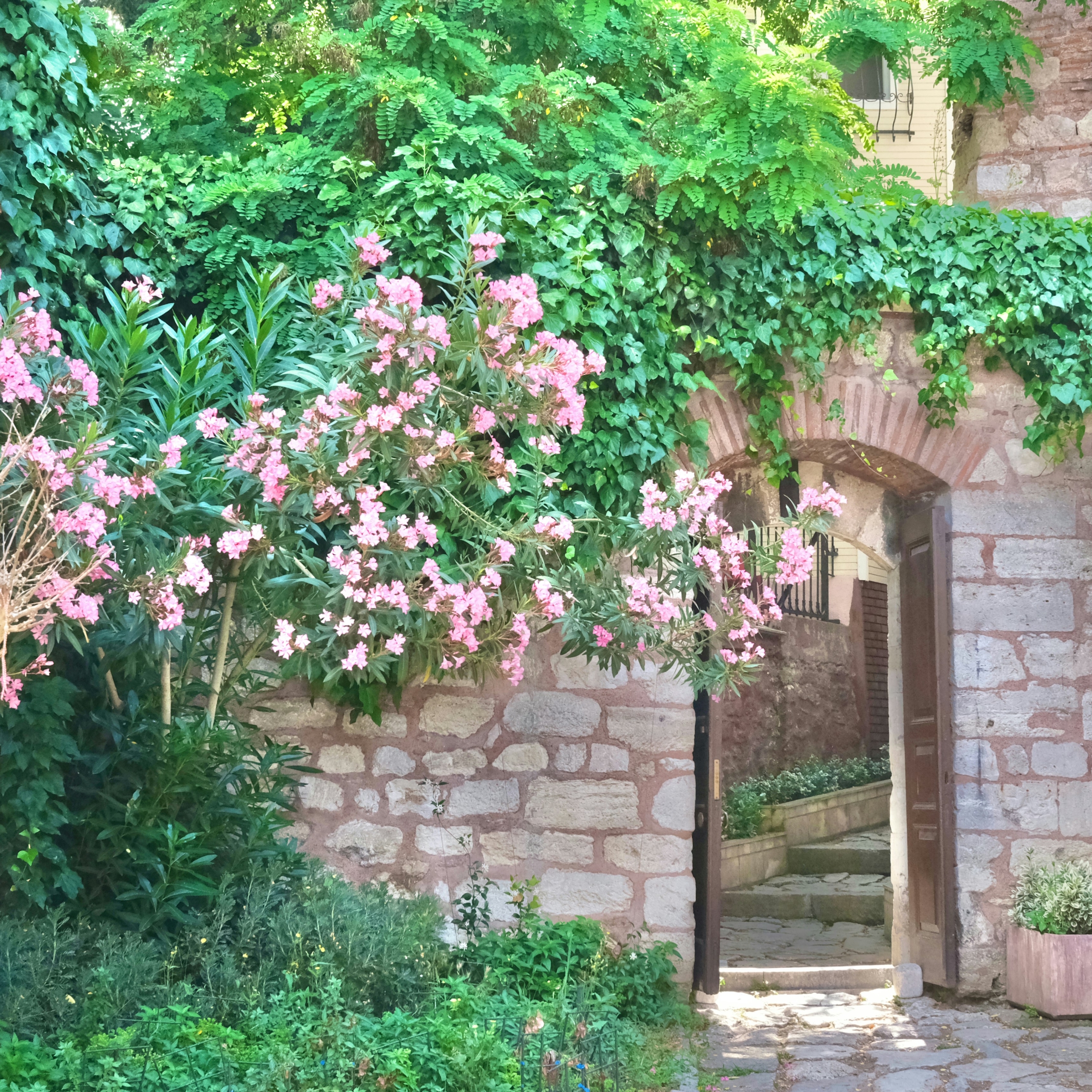 kate-branch-5M8DEtUHJl4-unsplash