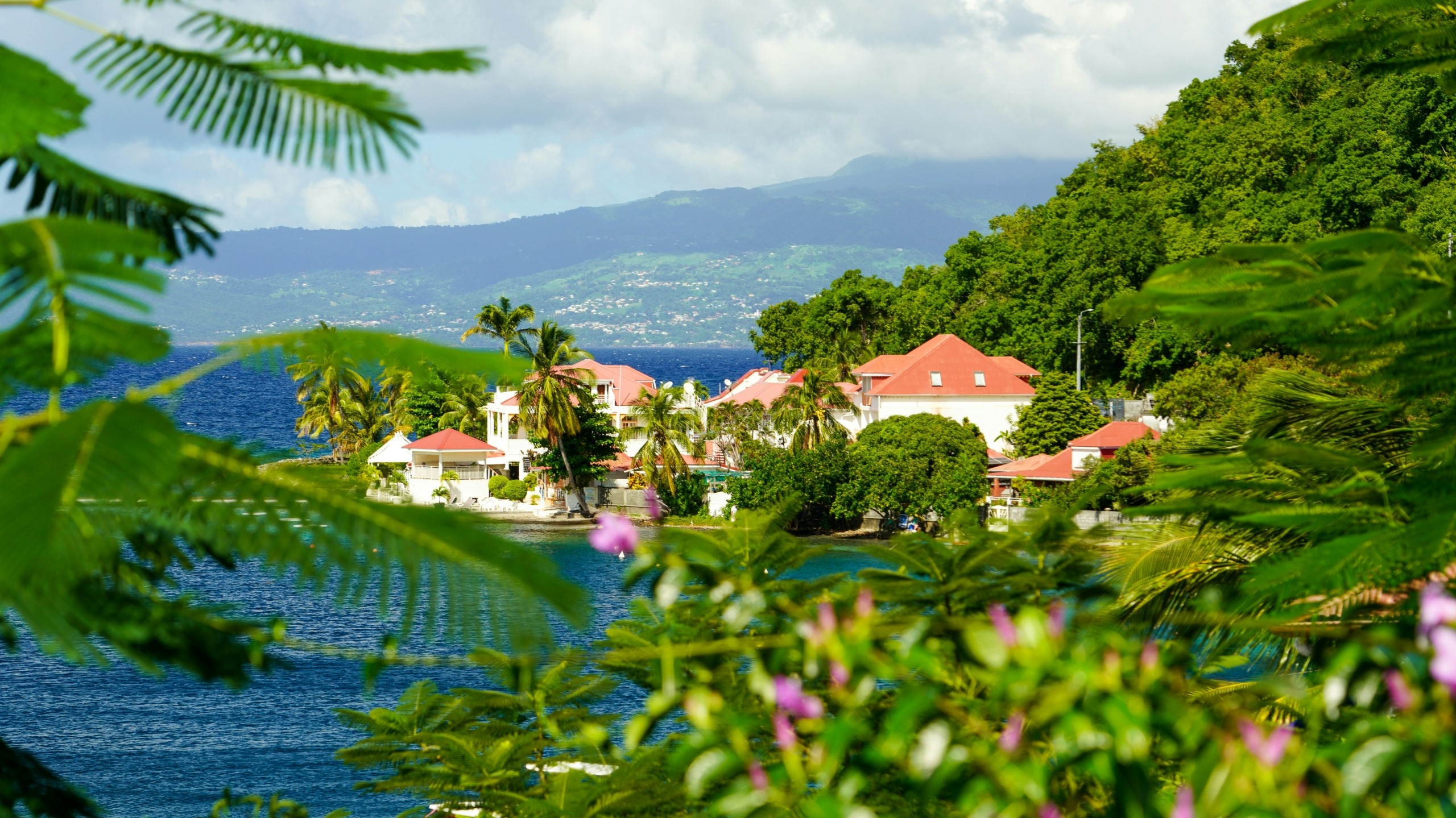 COMBIN&#201; GUADELOUPE-MARTINIQUE