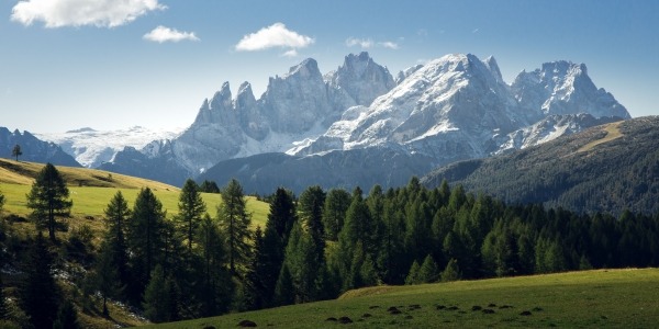 pexels-zenzazione-5406561